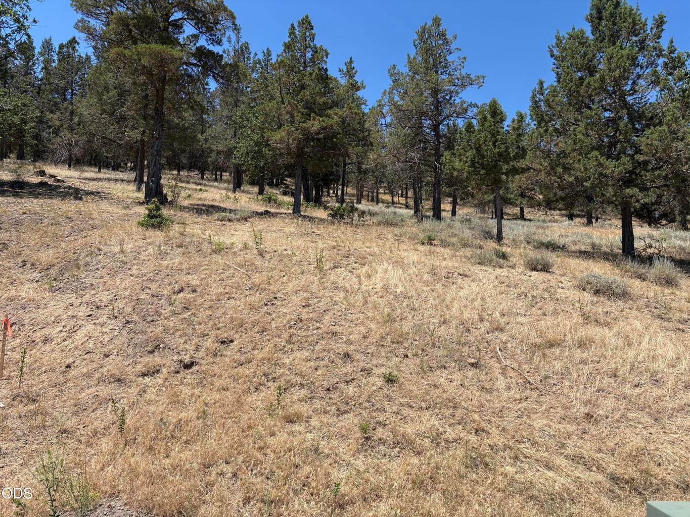 Photo of 0 Murrelet Road 1 of 2
