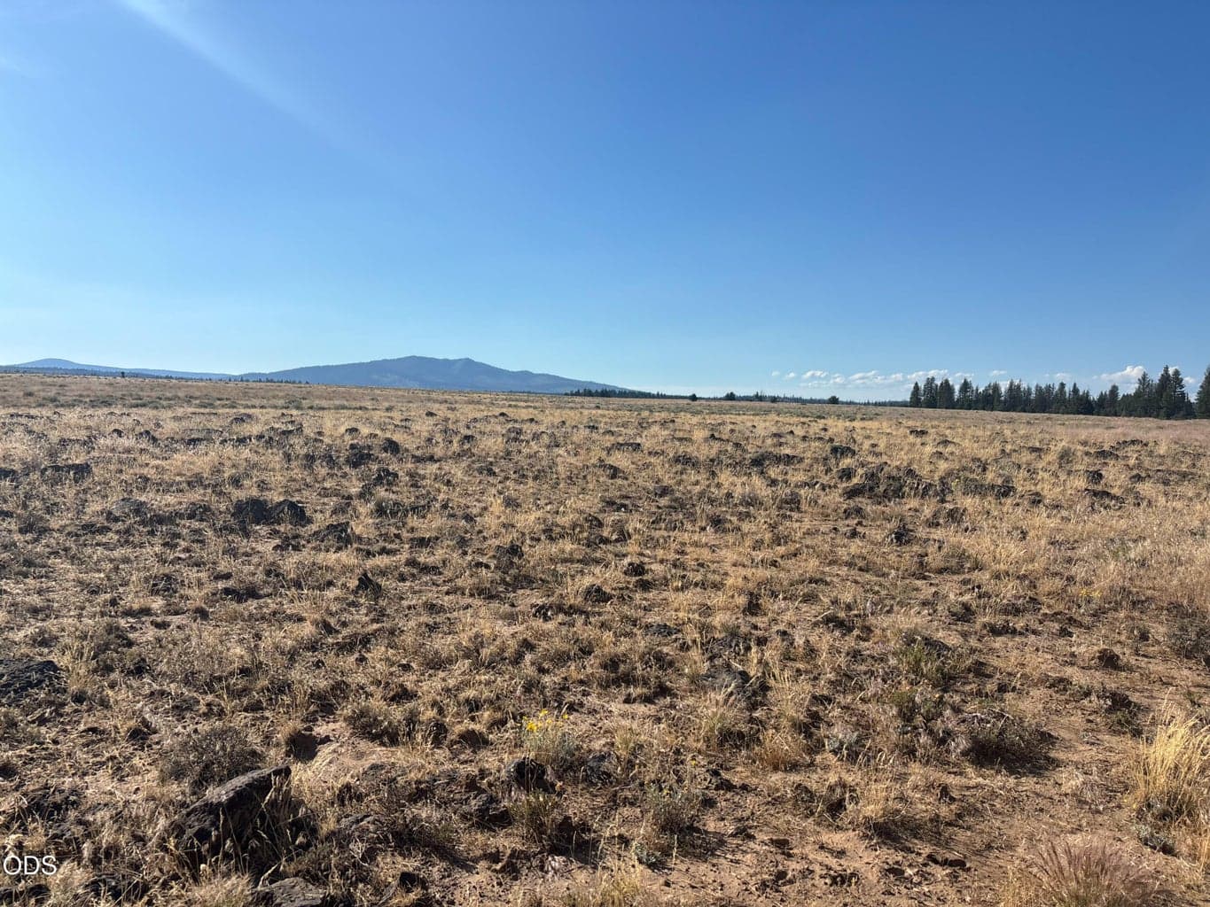 Photo of 0 Oregon Pines Road 1 of 3