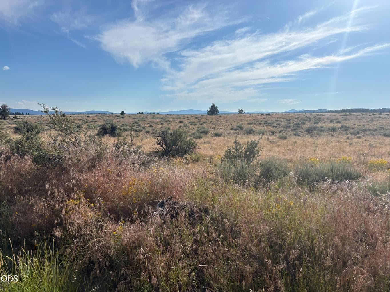 Photo of 0 Oregon Pines Road 2 of 3