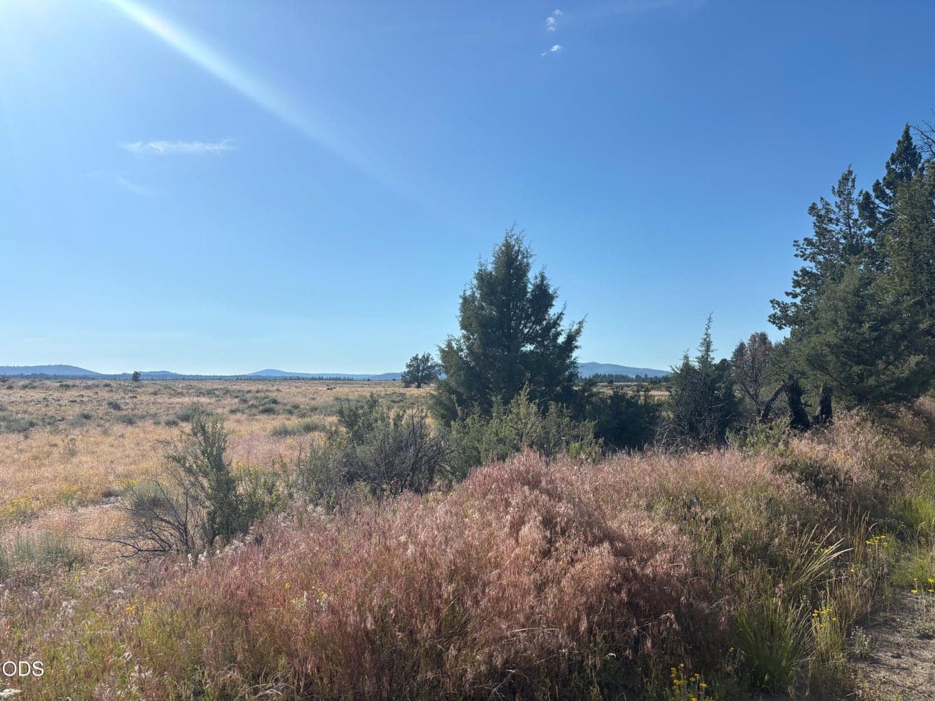Photo of 0 Oregon Pines Road 3 of 3