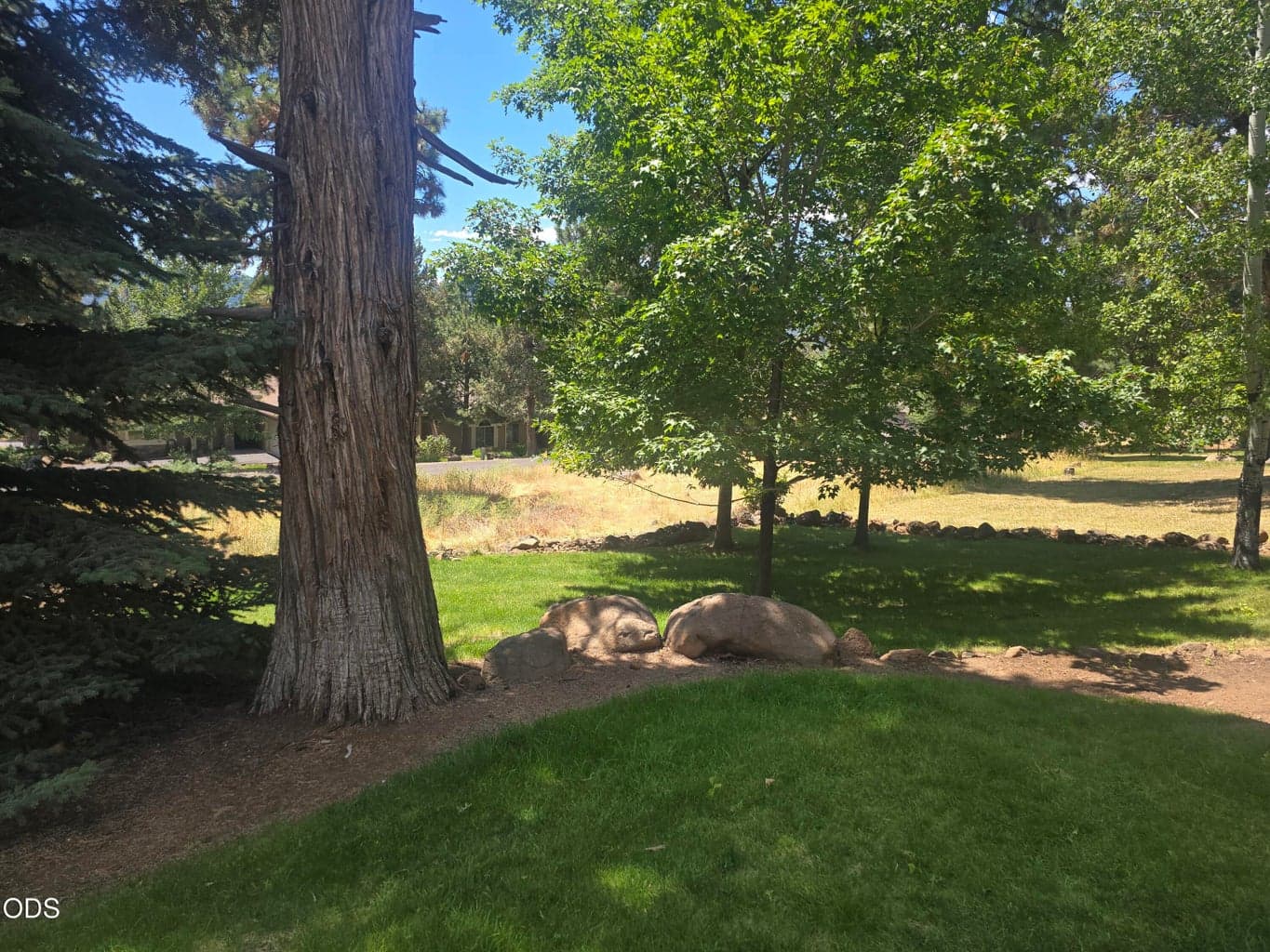 Photo of 4914 Grosbeak Drive 3 of 3