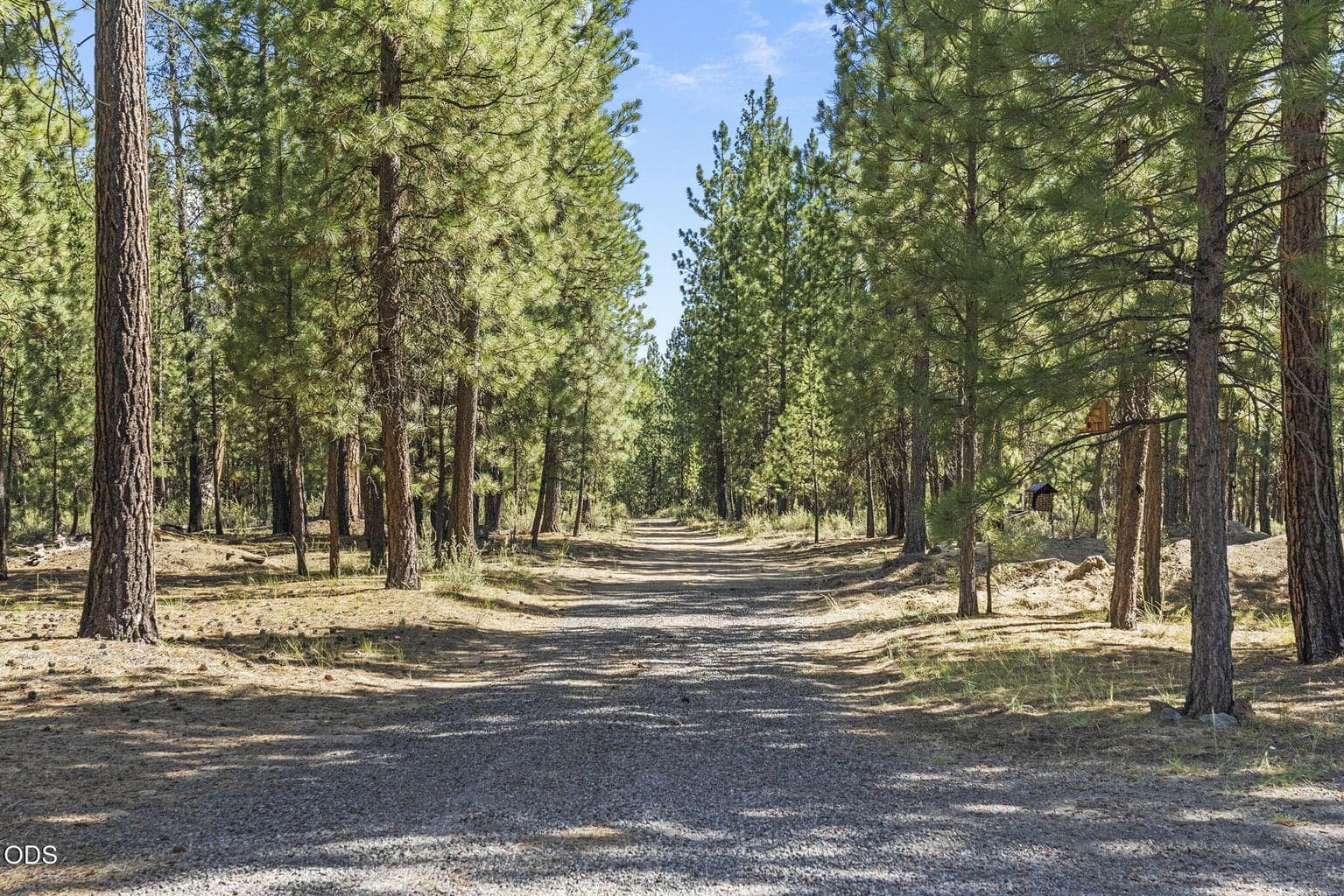 Photo of 14973 Ponderosa Loop 13 of 46