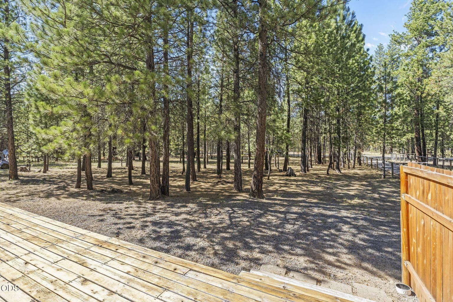 Photo of 14973 Ponderosa Loop 11 of 46