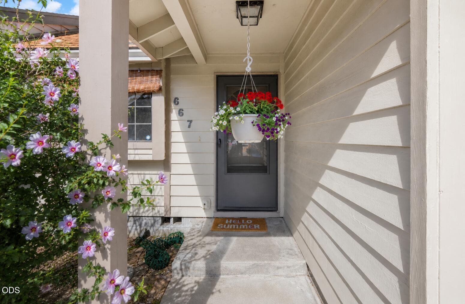 Photo of 667 Golden Lane 1 of 21