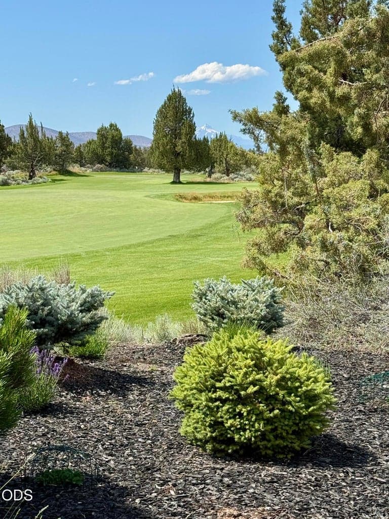 View from back yard to Fazio 17 green & Mt Jefferson beyond