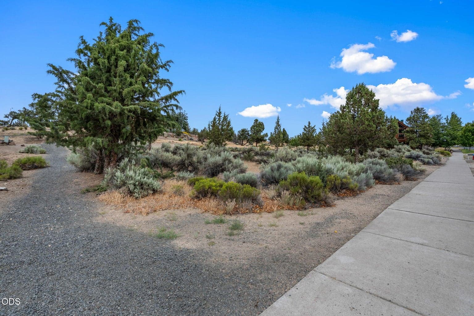 Photo of Yarrow Avenue 1 of 25