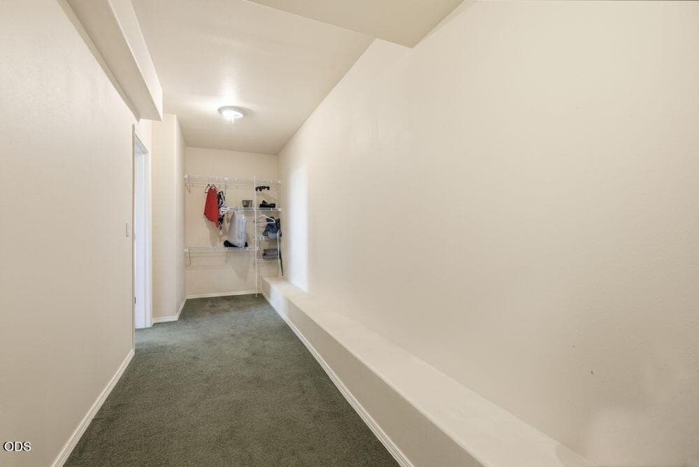 Storage Downstairs