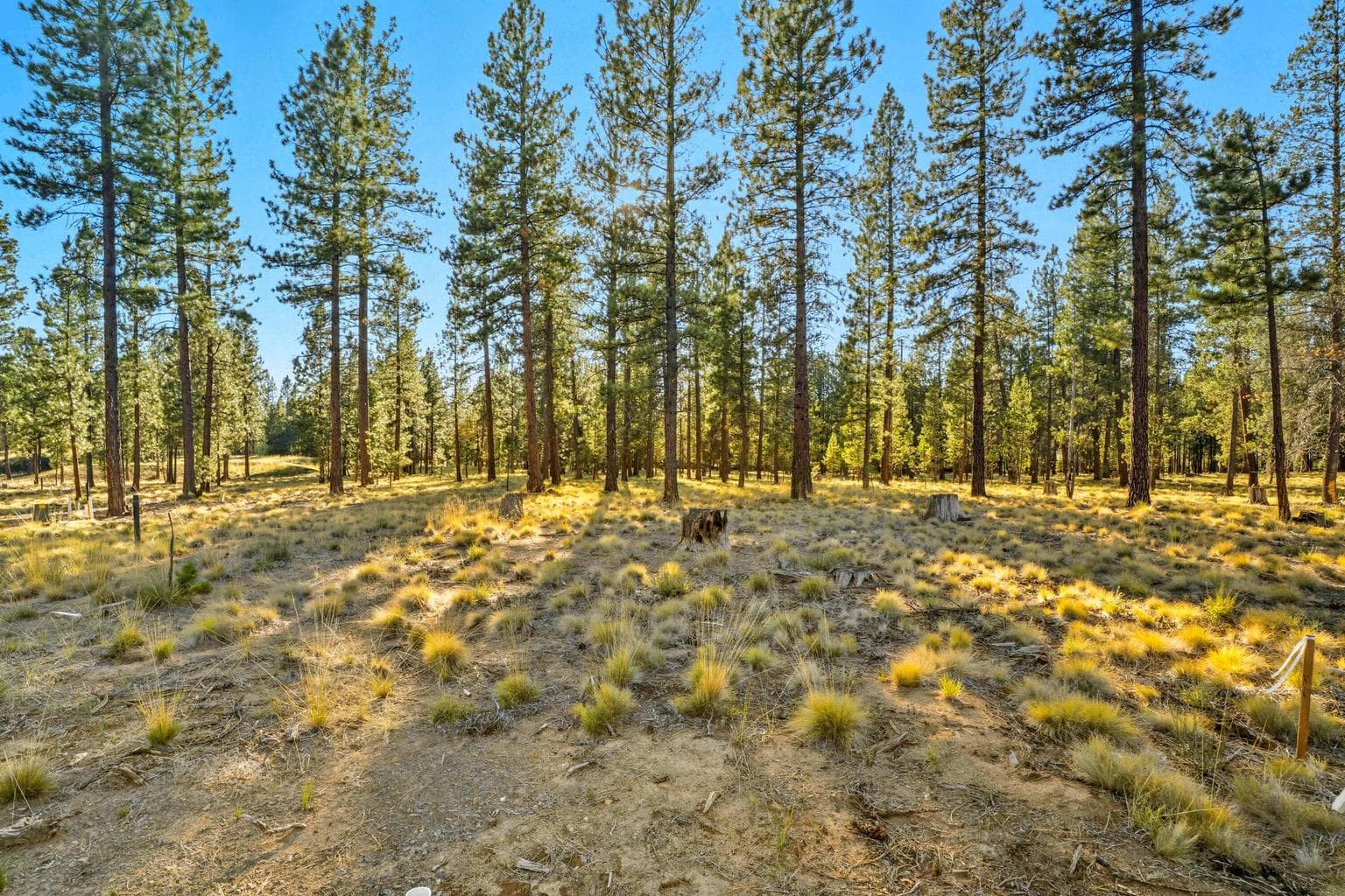 Photo of 56545 Elk Run Drive 2 of 27