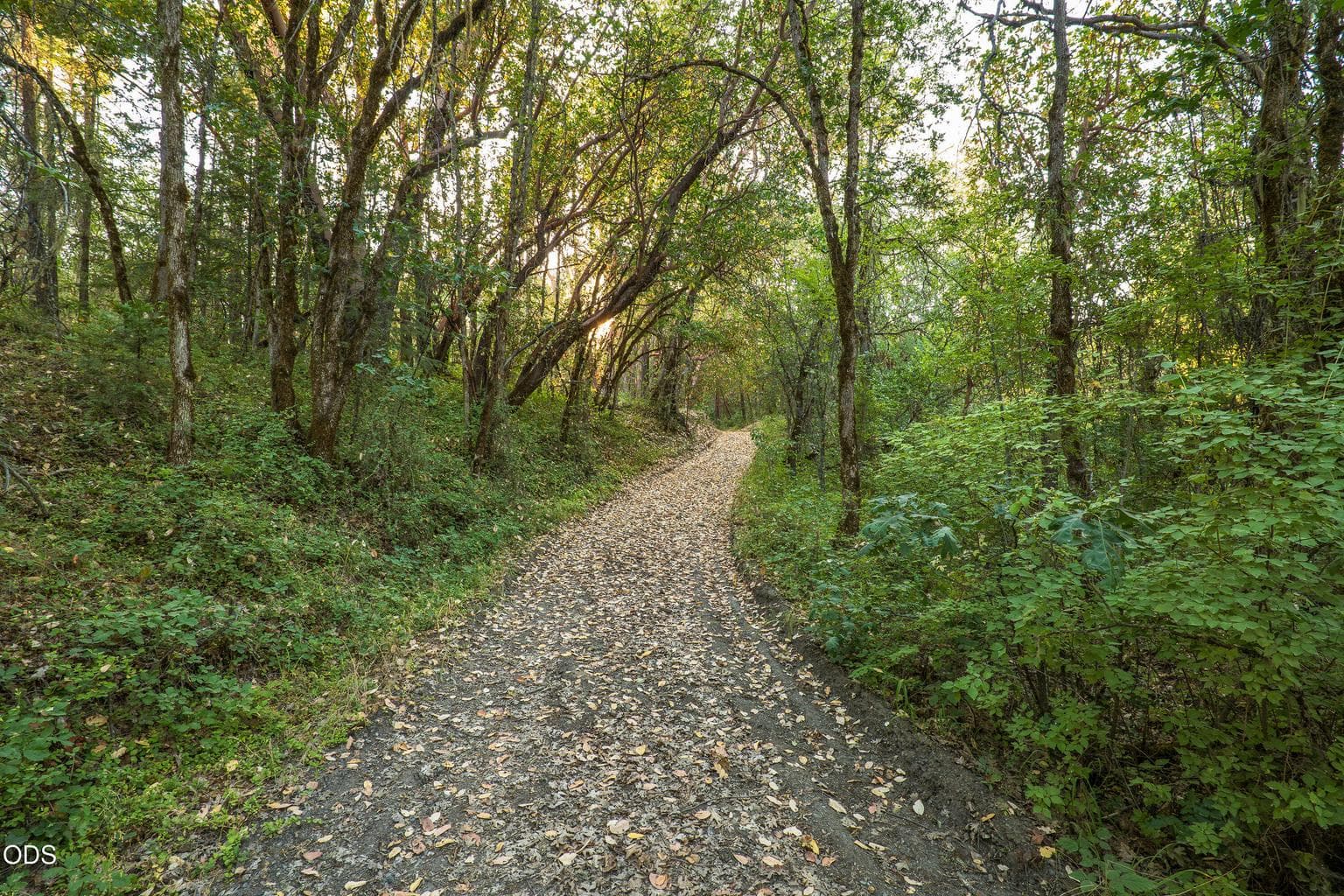 Photo of 2659 Foots Creek L Fork Road 5 of 43