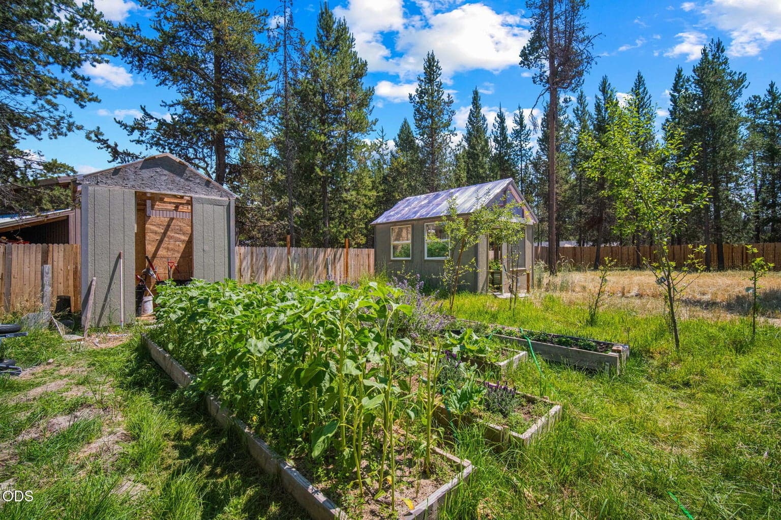 Photo of 17465 Snow Goose Road 27 of 35