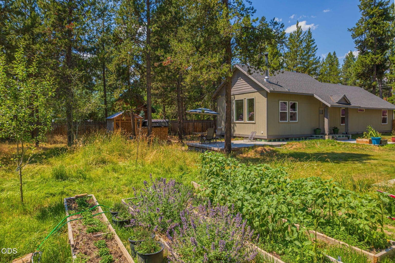 Photo of 17465 Snow Goose Road 31 of 35