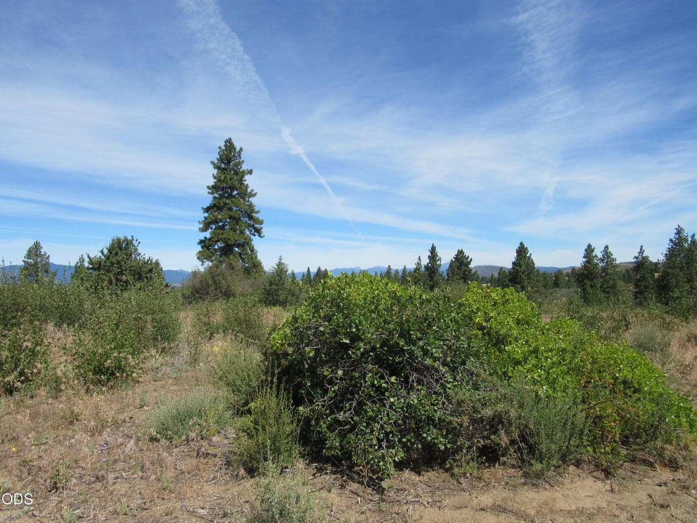 Photo of 00 Ranch Road 2 of 9