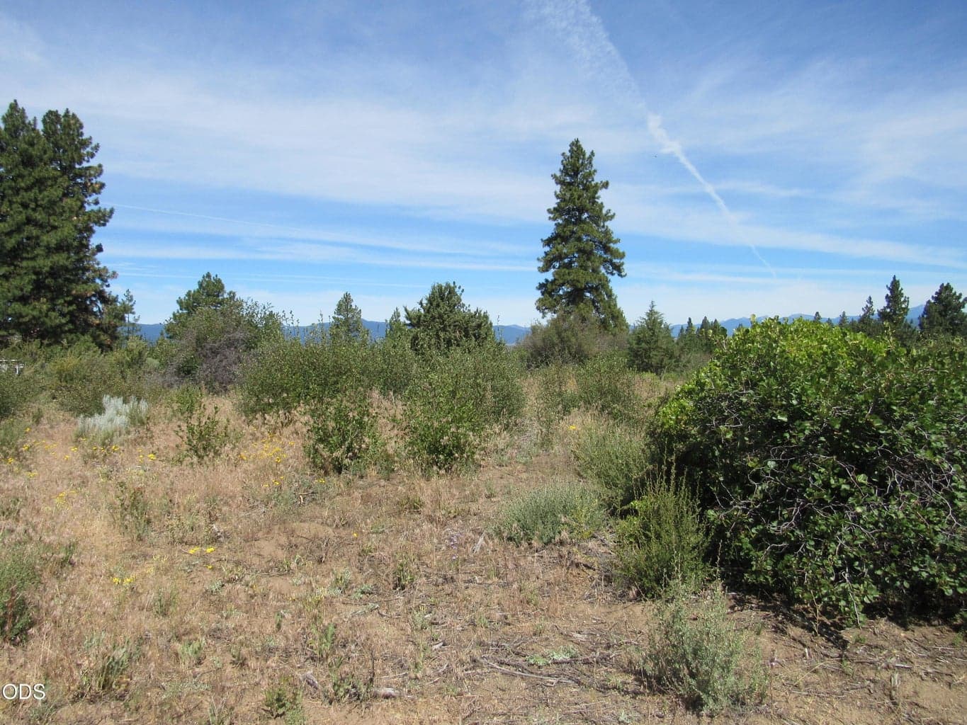Photo of 00 Ranch Road 3 of 9