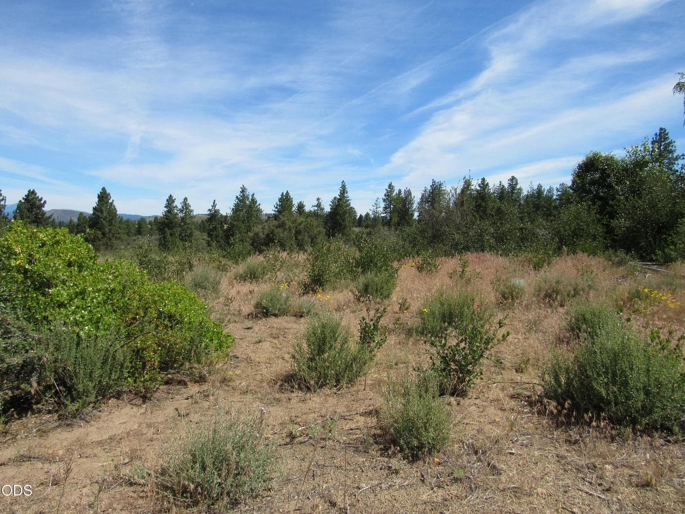 Photo of 00 Ranch Road 4 of 9