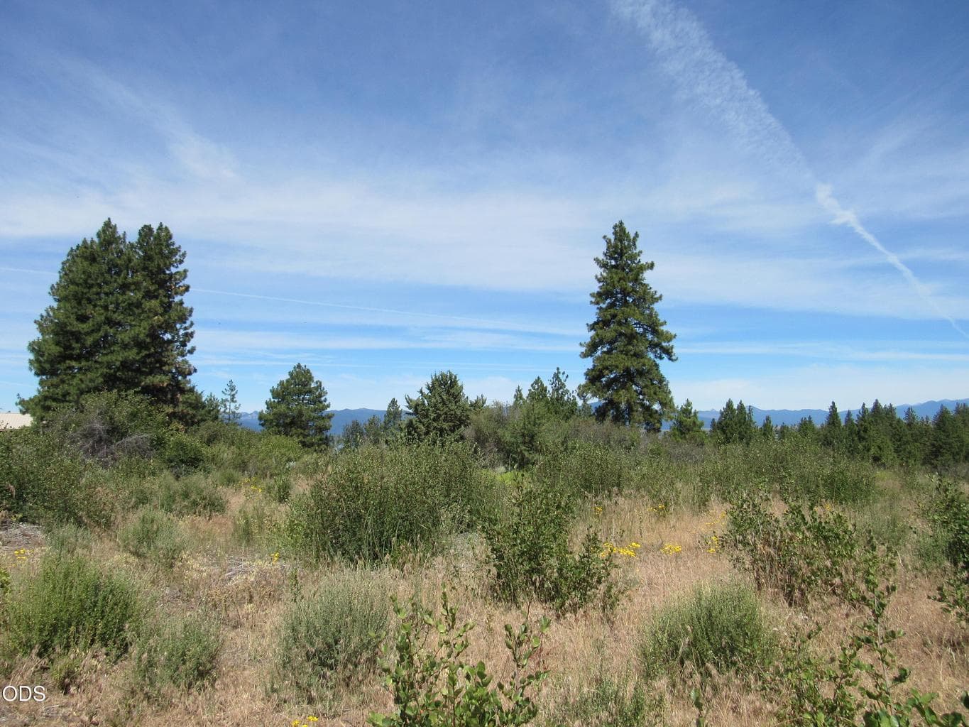Photo of 00 Ranch Road 5 of 9