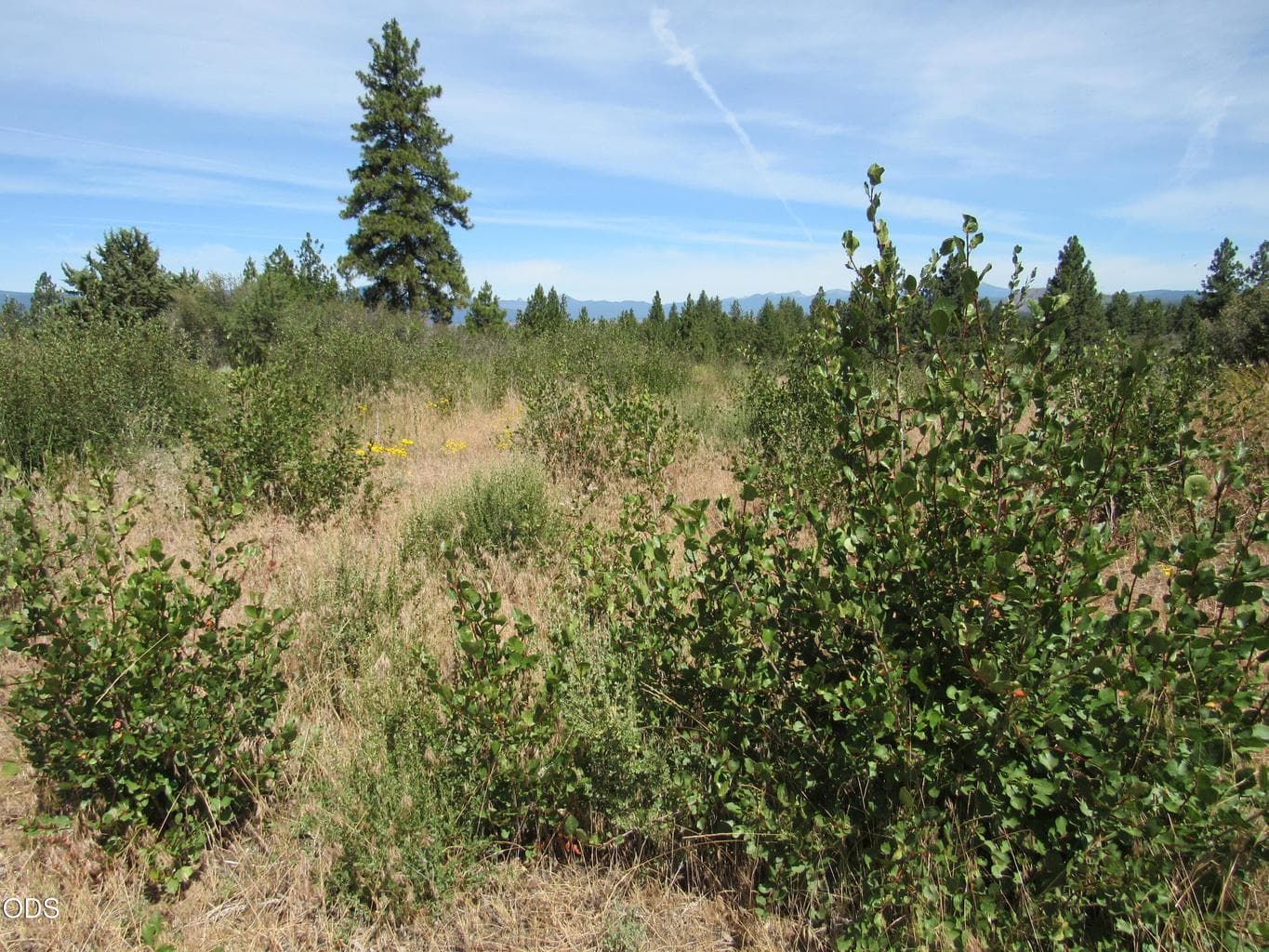 Photo of 0 Ranch Road 5 of 8