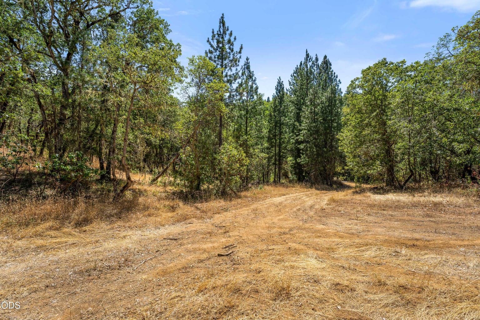 Photo of 4199 Foots Creek Road 2 of 20