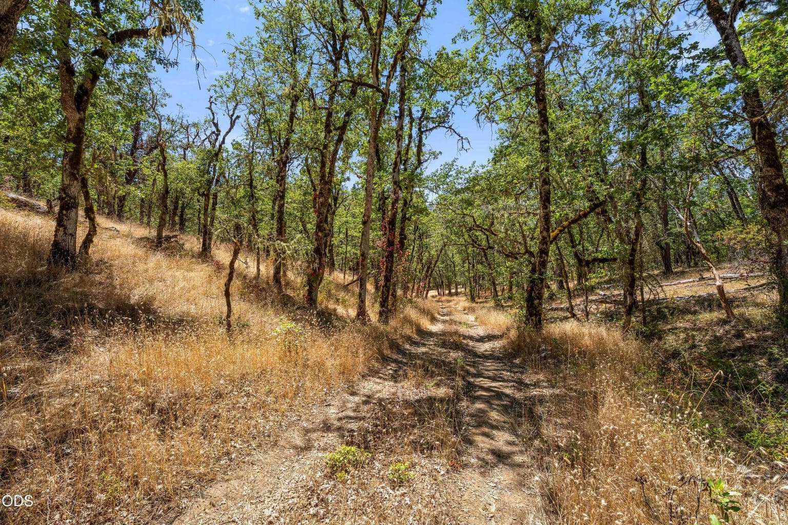 Photo of 4199 Foots Creek Road 3 of 20