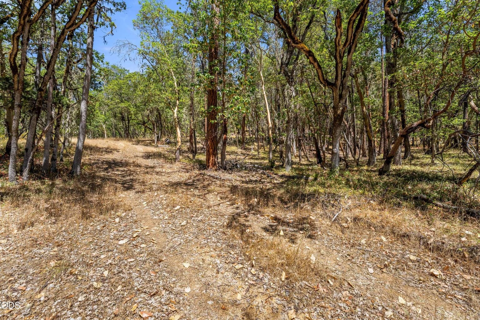 Photo of 4199 Foots Creek Road 5 of 20