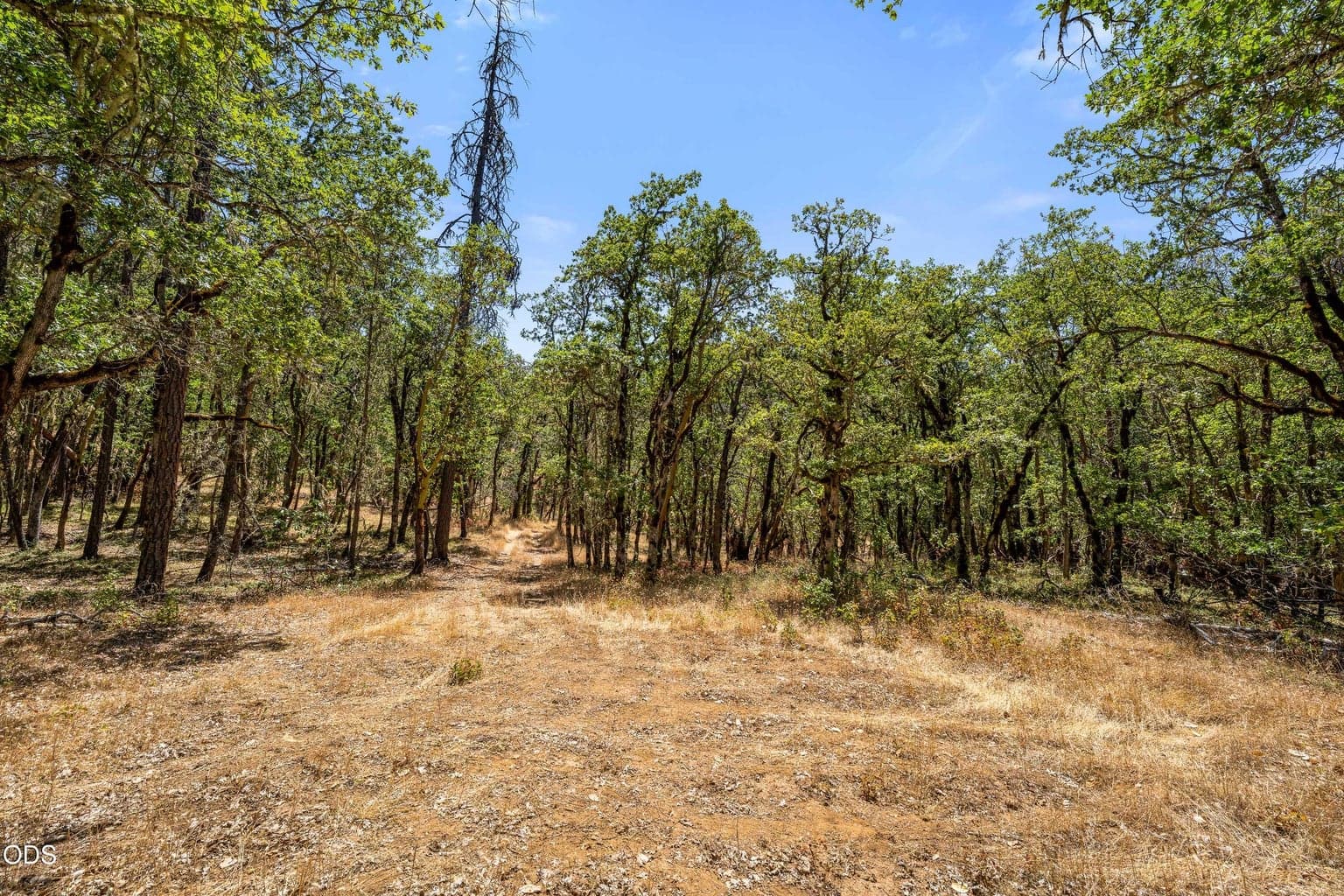 Photo of 4199 Foots Creek Road 4 of 20