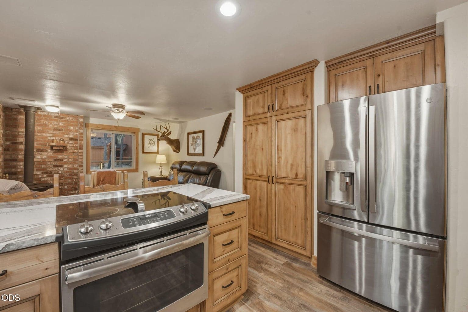 Stainless appliances