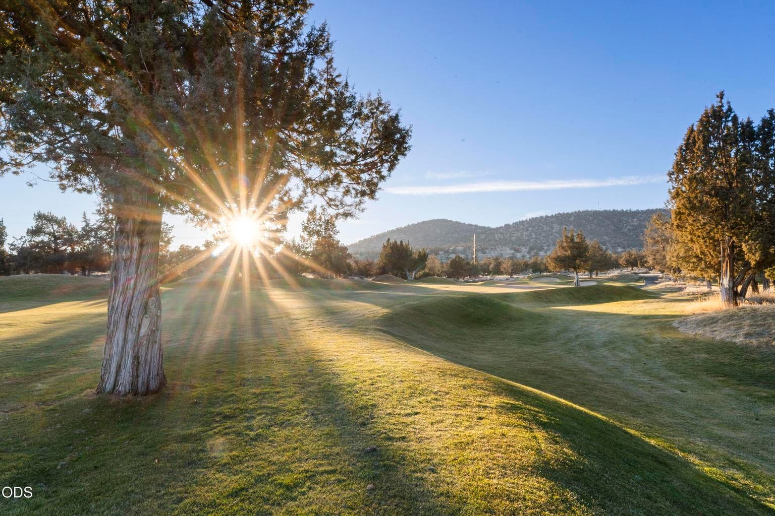 Golf course