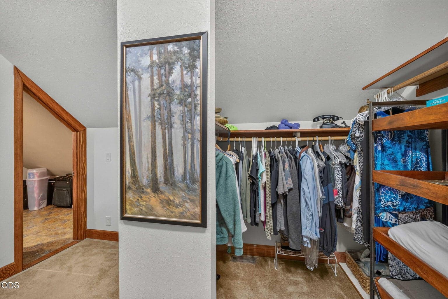 Walk-in closet with hanging garment space and built-ins, plus adjacent storage for seasonal items.