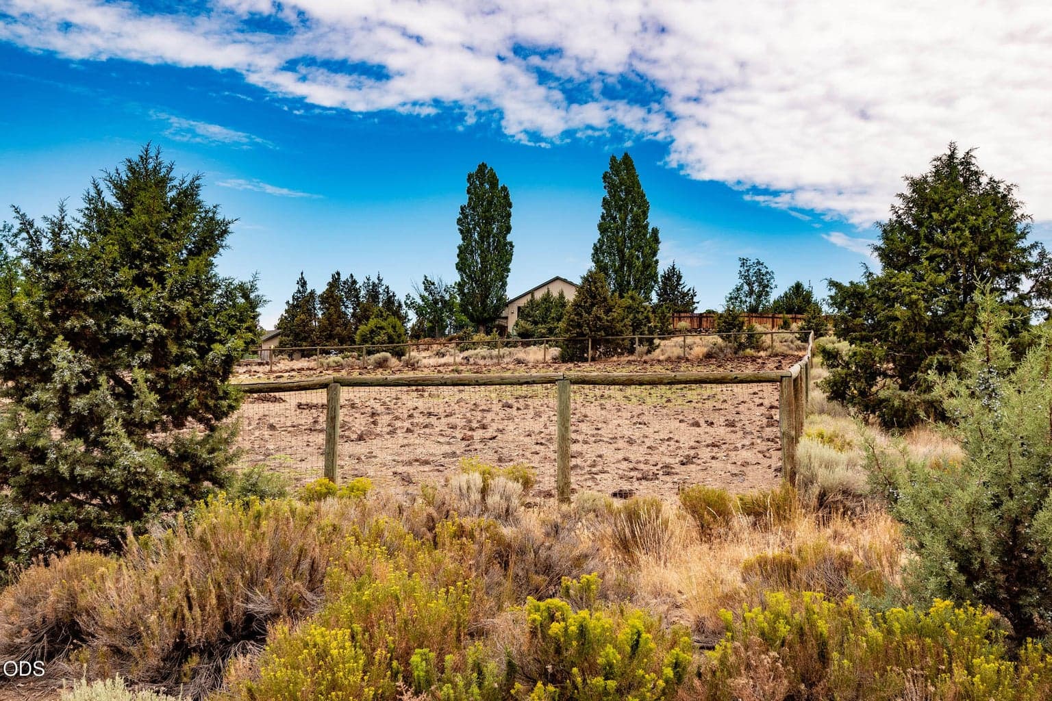 Looking north from Sand Ridge Road. This is the east side of the property.