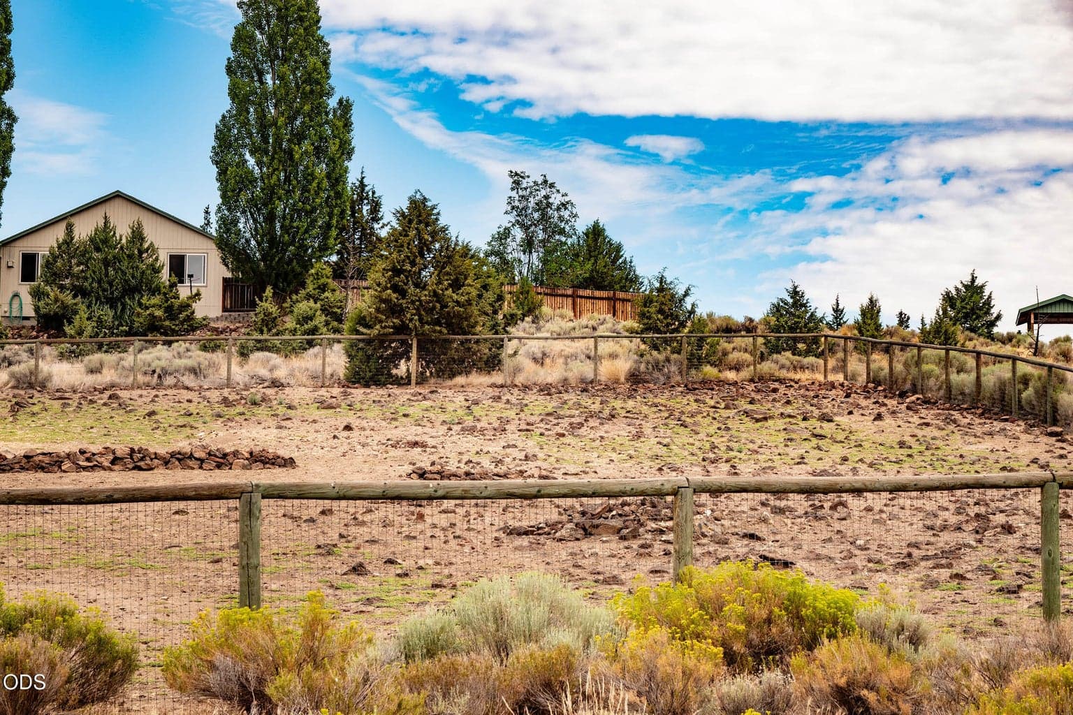 This is the paddock, viewed from Sand Ridge Rd.
