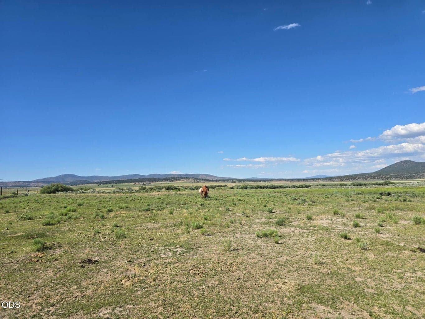 Photo of 24945 Godowa Springs Road 4 of 8