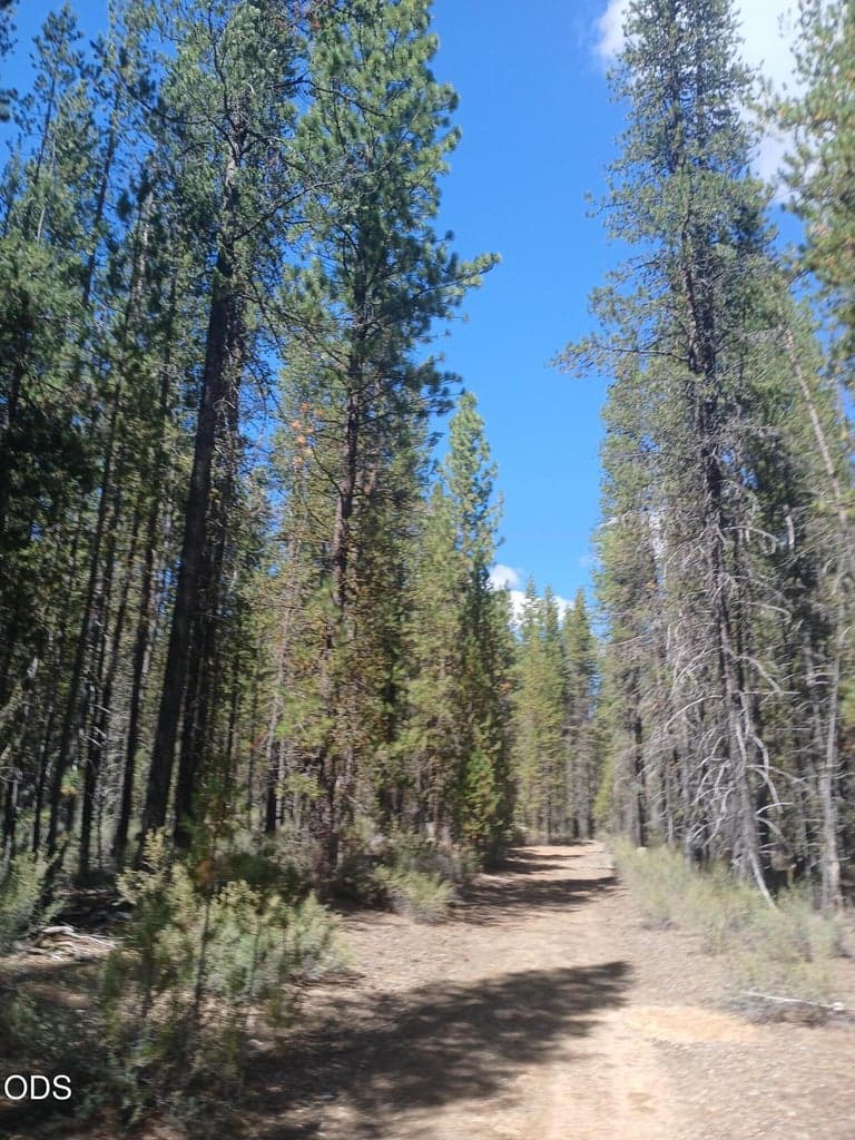 Photo of 0 Schoonover 5 Road 1 of 17