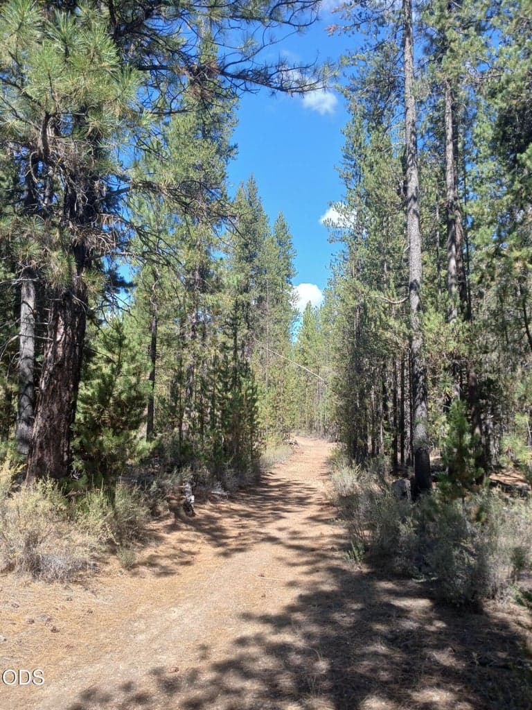 Photo of 0 Schoonover 5 Road 4 of 17