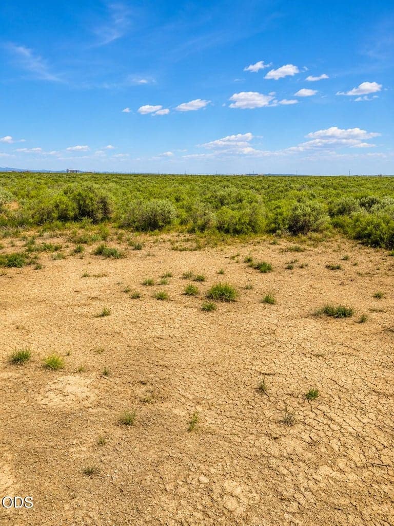 Photo of 00400 Oil Dri Road 4 of 9