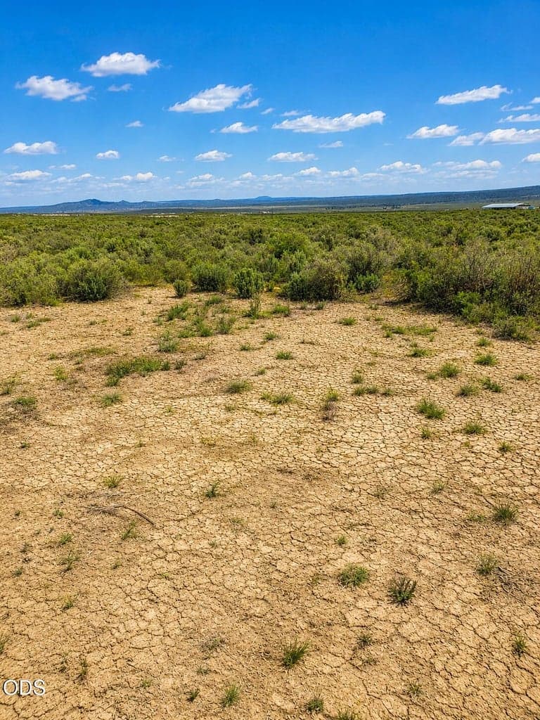 Photo of 00400 Oil Dri Road 2 of 9
