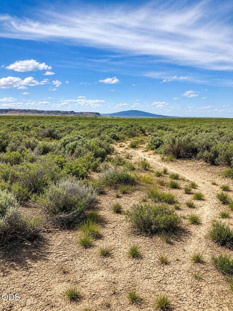 Photo of 00400 Oil Dri Road 3 of 9
