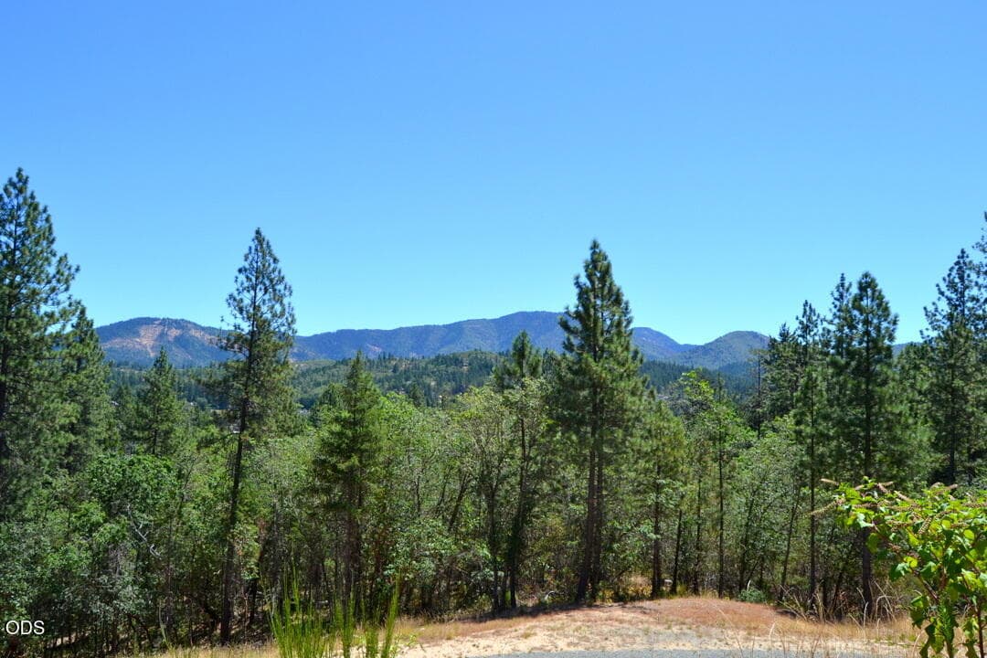 Photo of 2030 Sylvan Drive 1 of 11