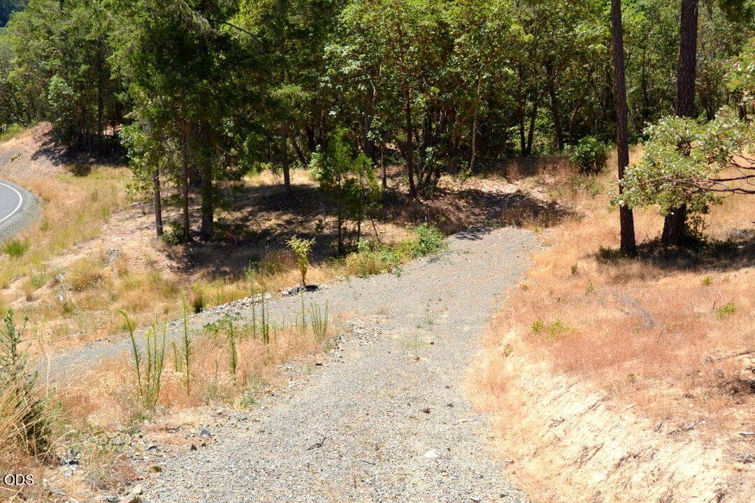 Photo of 2030 Sylvan Drive 3 of 11