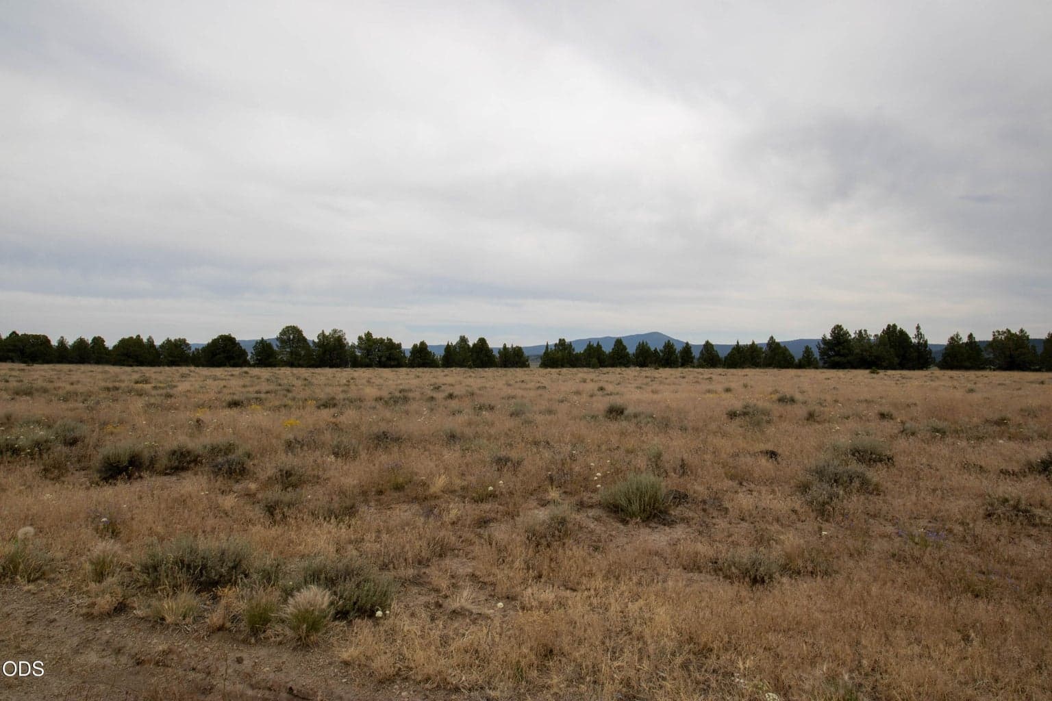 Photo of Rim Drive 2 of 7