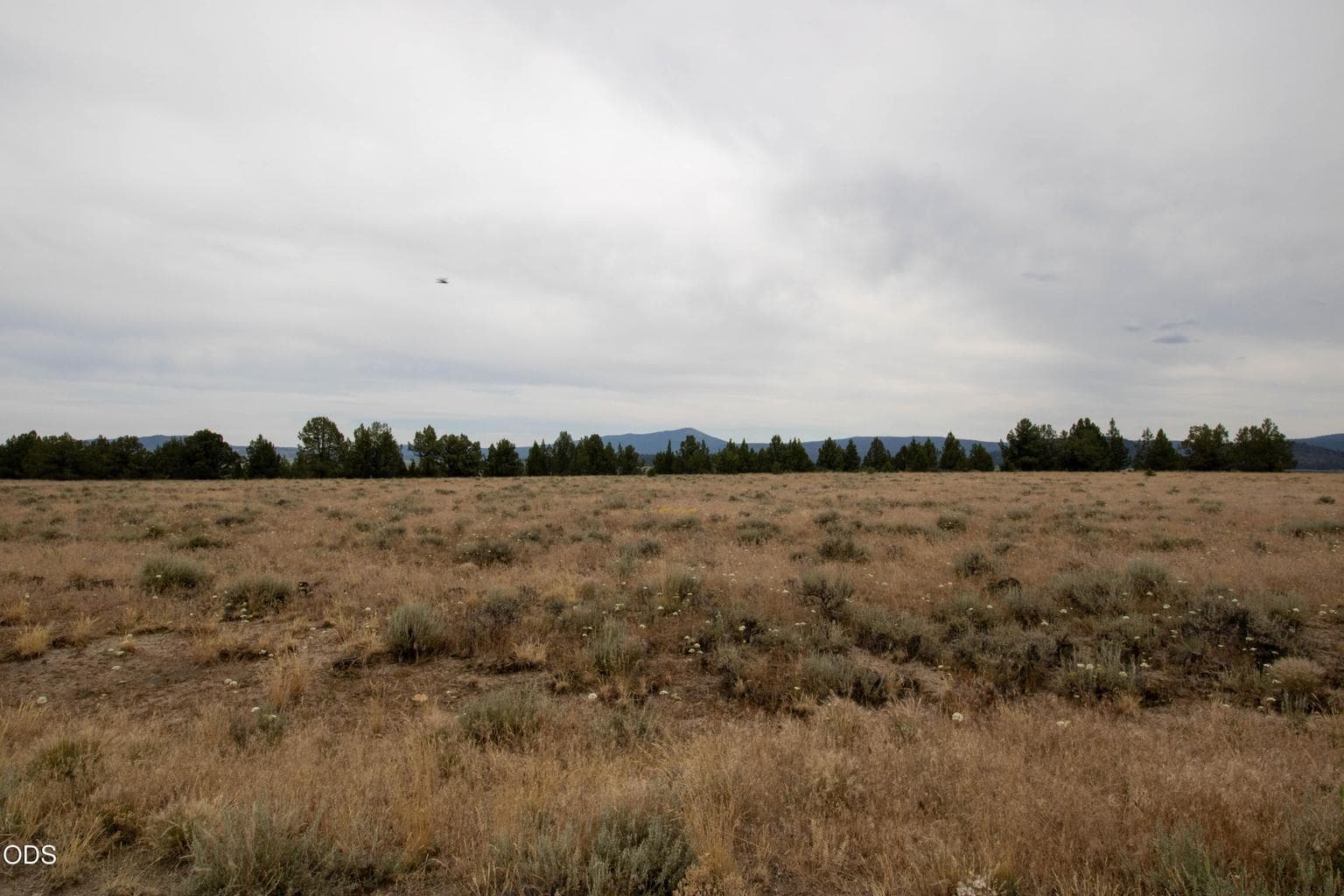 Photo of Rim Drive 4 of 7