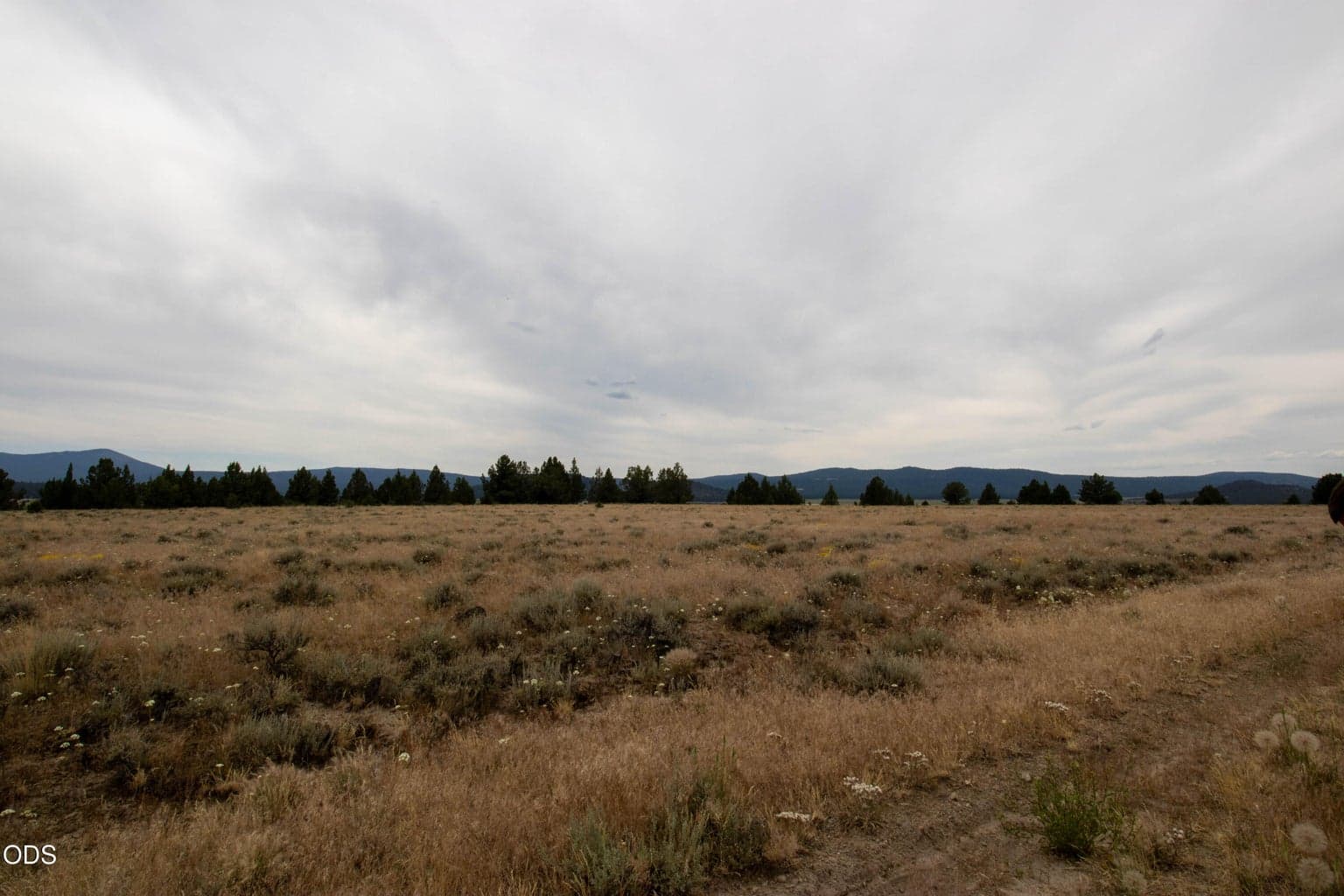 Photo of Rim Drive 5 of 7