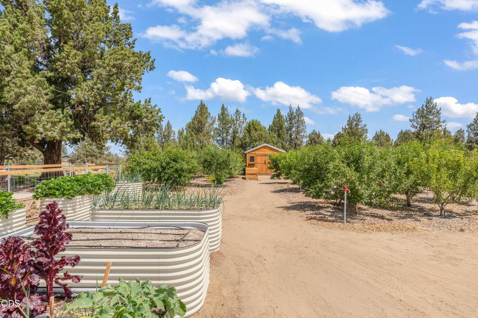 Photo of 61601 Gribbling Road 25 of 41