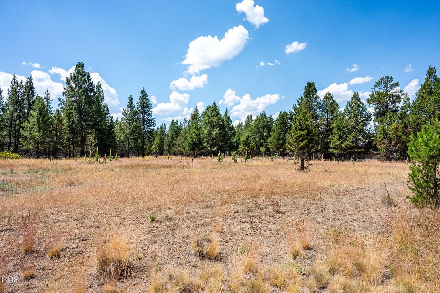 Photo of 56835 Nest Pine Drive 8 of 33