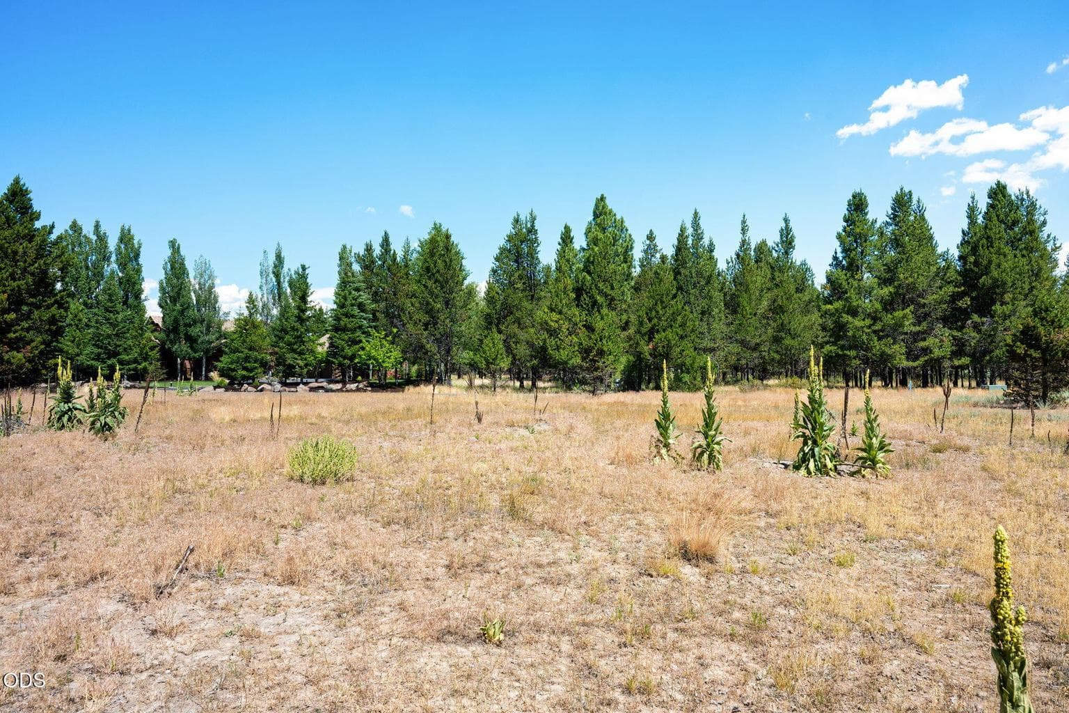 Photo of 56835 Nest Pine Drive 11 of 33