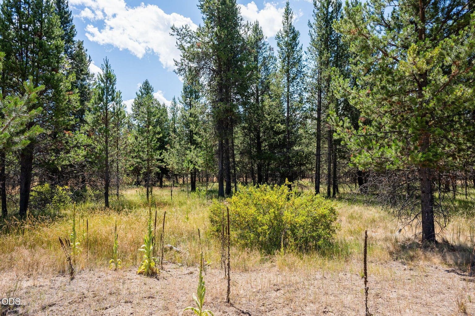 Photo of 56835 Nest Pine Drive 12 of 33