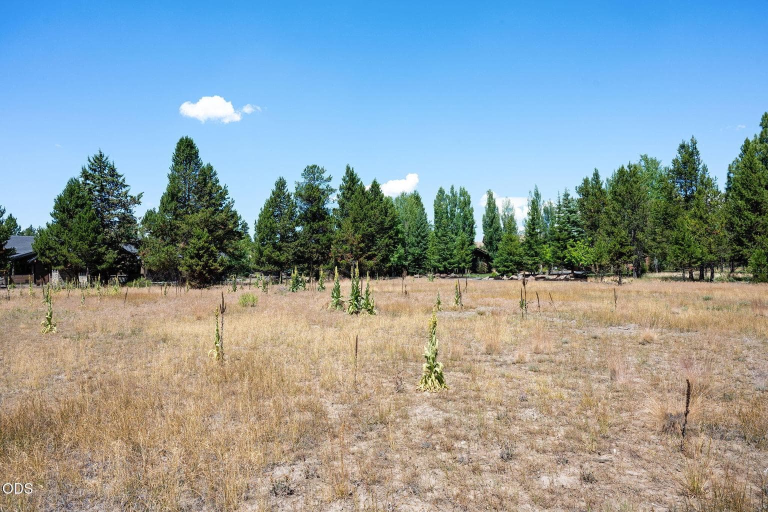 Photo of 56835 Nest Pine Drive 7 of 33