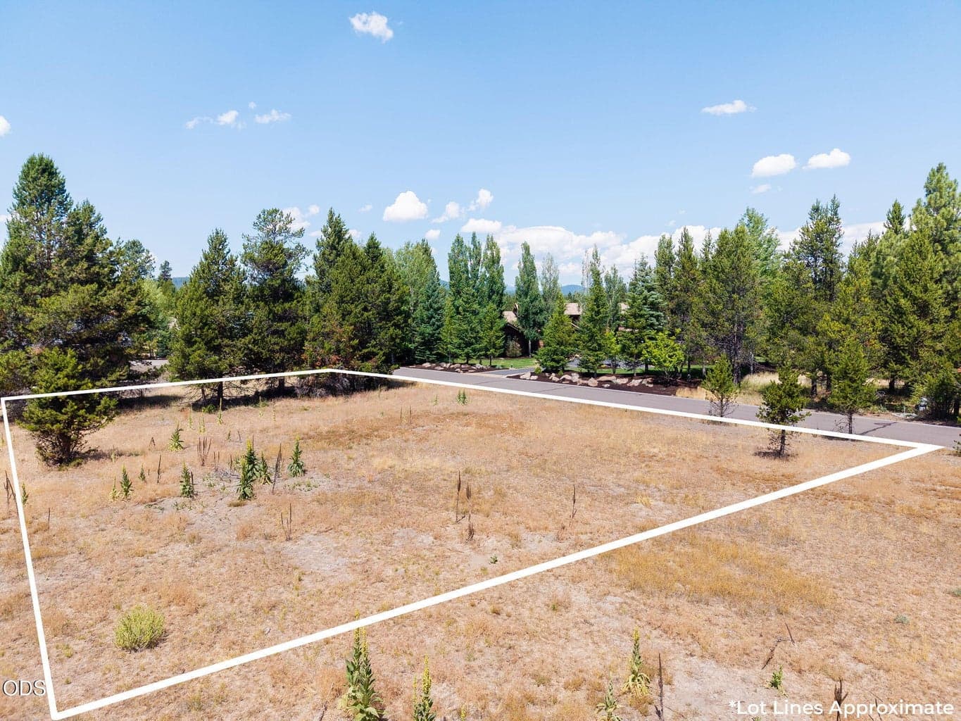 Photo of 56835 Nest Pine Drive 1 of 33