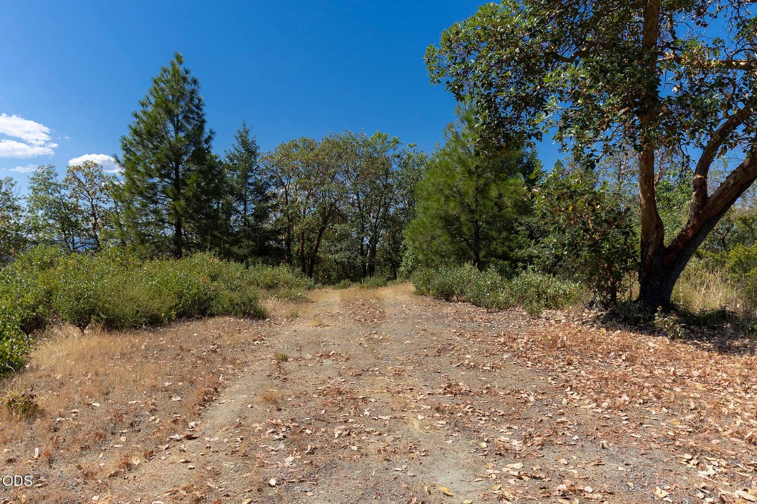 Photo of Homewood Road 5 of 28