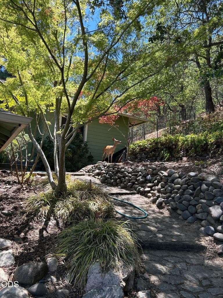 Photo of 279 Alta Avenue 2 of 16