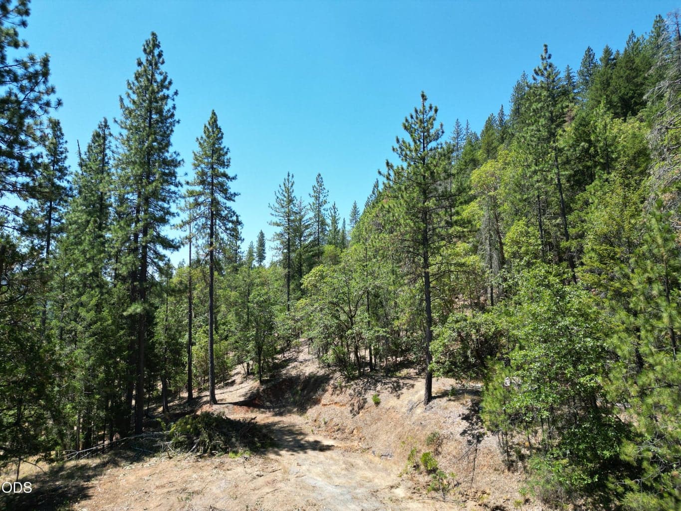 Photo of 2725 Sykes Creek Road 2 of 24