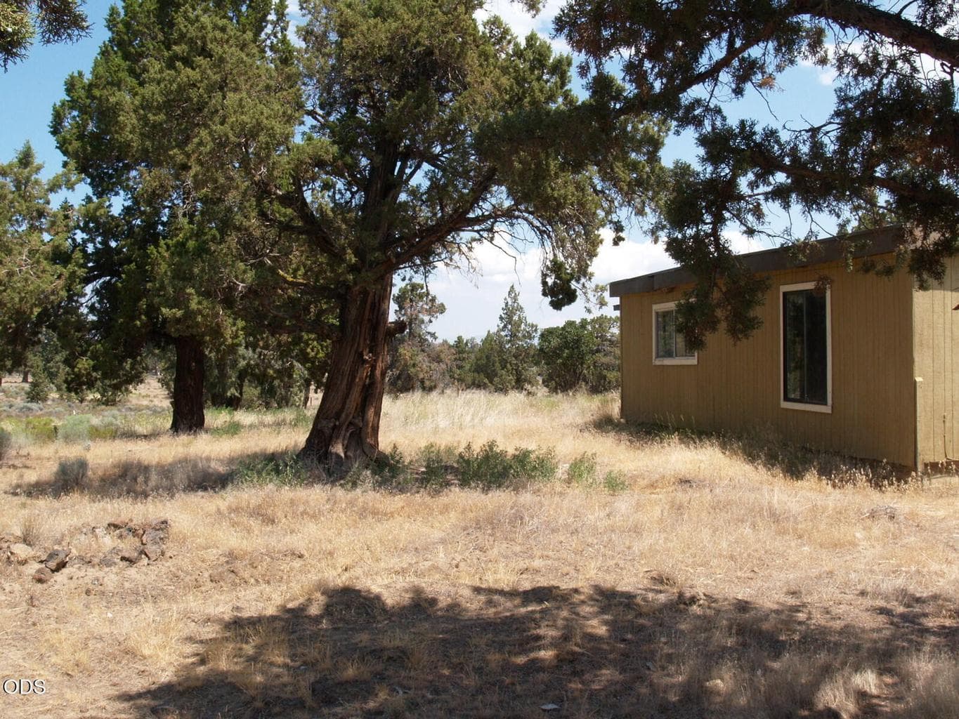 Looking north from just south of house